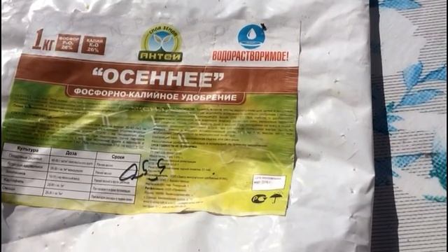 Как правильно подготовить лилии к зимнему сезону? смотреть онлайн