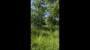 Хранения ЧЕРВЯ выползка длительное время, лучшие советы