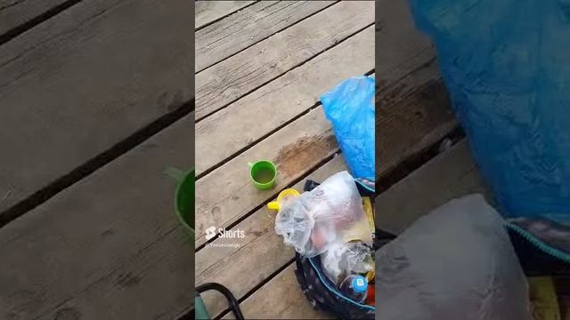 #Shorts   #Москва  # Рыбалка