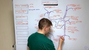 Анатомия сосудов малого круга кровообращения / Легочные артерии и вены / Ангиология