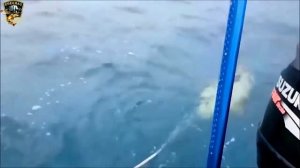 ❤Девушки на рыбалке//Приколы на рыбалке//Весёлая рыбалка 2020//Женская рыбалка//Рыбалка с юмором//❤