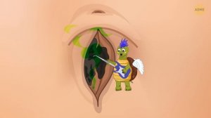 Чистим пупок с милой черепашкой: ASMR-ролик