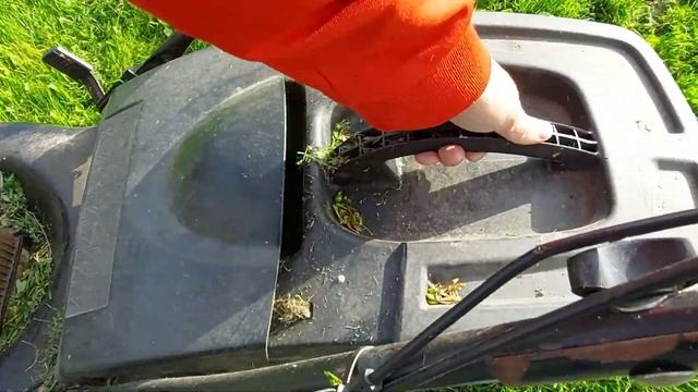 Хватит выдёргивать сорняки из чеснока! Чеснок в газоне. смотреть онлайн