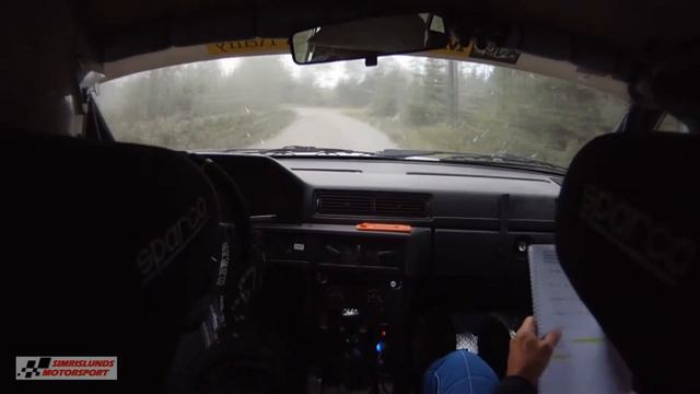 Dackefejden 16/6 2018 - SS 4 - Älganäs - Andreas Persson/Magnus Andersson смотреть онлайн