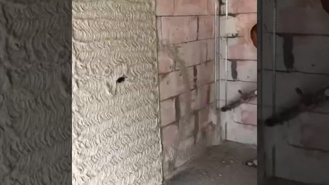 Штукатурим стены штукатурной станцией ? смотреть онлайн