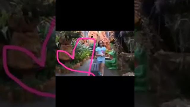 " Я в Тайланде" В Тайском саду Нонг Нуч смотреть онлайн