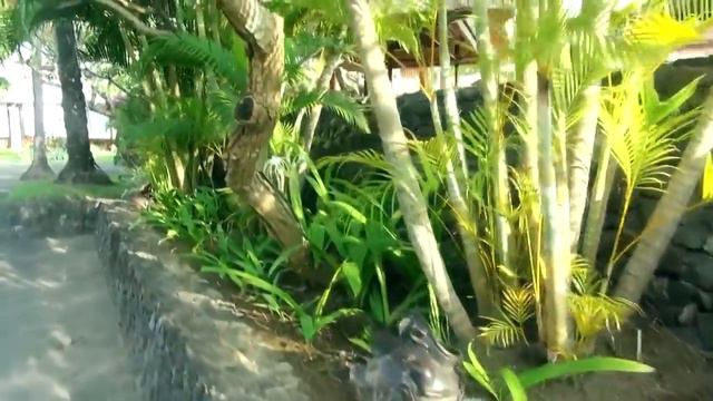 Бали. Туры в Индонезию. Отель Nusa Dua Beach Hotel & Spa 5* смотреть онлайн