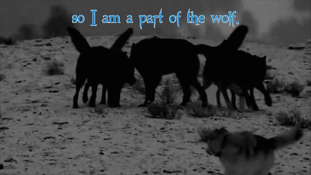 Nargaroth - Amarok - Zorn Des Lammes III (w Lyrics)