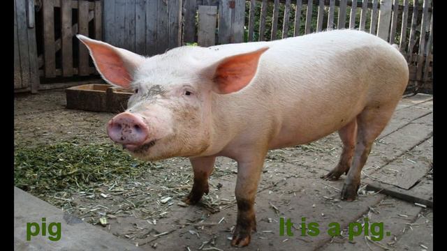 Угадай животное! Animals on the Farm. What is it смотреть онлайн