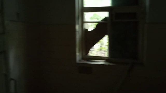 "Звёздный" - заброшенная турбаза (столовая) смотреть онлайн