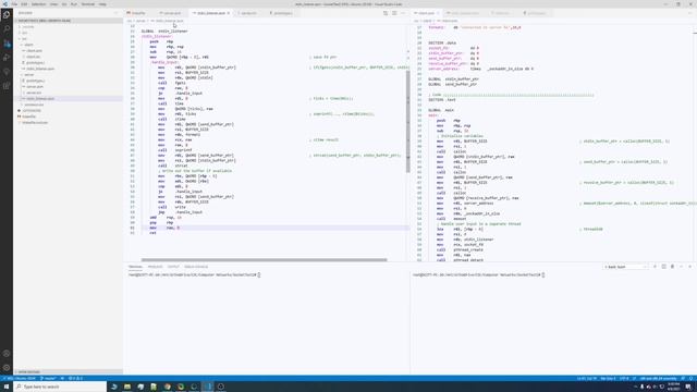 Messaging Socket Application in in x86_64 Assembly смотреть онлайн
