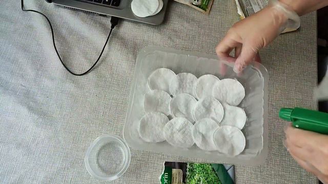 Весняний ВЛОГ 🌷🌼 Покупка для зберігання 🛒саджу квітку та МІКРОЗЕЛЕНЬ #влог #мікрозелень #кухня #дім смотреть онлайн