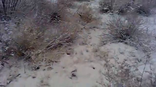 Охота на фазана МП155 смотреть онлайн