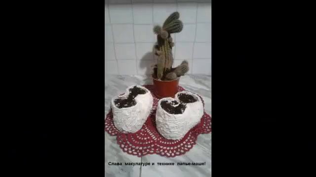 Как мы сделали домик для кактуса смотреть онлайн