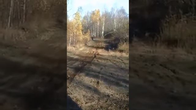 190 daytona anima #914 #MMC #EnduroKTMqc смотреть онлайн