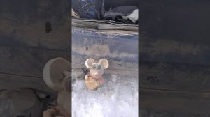 установка фаркопа форд фокус