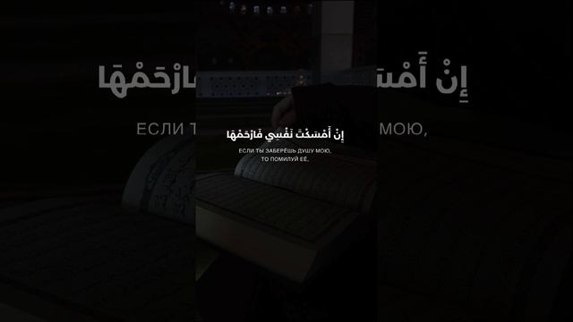 Дуа перед сном #religion #jannat #dua #ислам #религия #рай #дуа #islam #сунна смотреть онлайн