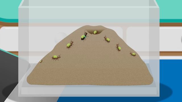 Henrietta Hen Visits Dr Poppy's Pet Rescue | Animals For Toddlers смотреть онлайн