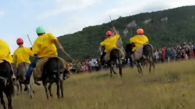 ослинные бега в Джыдрдуз Шуши смотреть онлайн