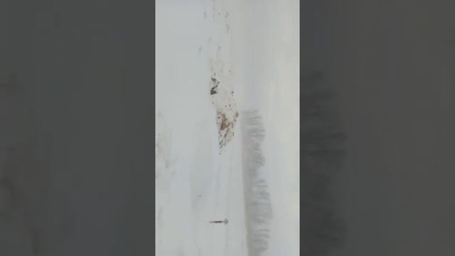 Кантемировка смотреть онлайн
