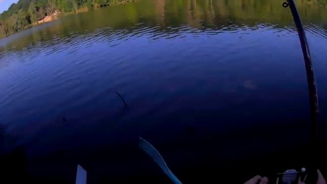 ТАКОГО Я ЕЩЕ НЕ ВИДЕЛ! .Рыбалка на карпа.Ловля карпа на боковой кивок 2022. 2022#familyfishing# смотреть онлайн