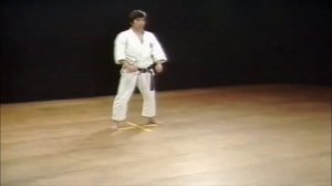 Ката Хангетсу