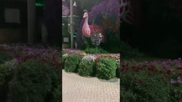 Дубай место которое обязательно нужно посетить 👍 смотреть онлайн