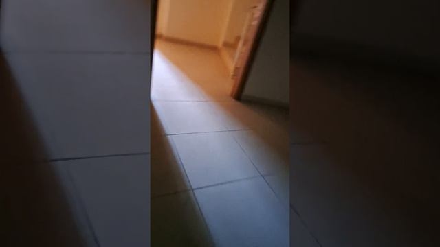 Лифт Mitsubishi 8 чел 600 кг в Астаналыке смотреть онлайн