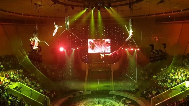 The Flying Cranes ( Firebirds). Воздушный полет Журавли (Жарптицы) 2020 смотреть онлайн