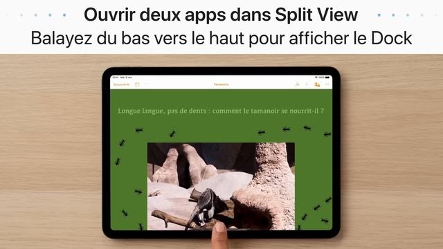 Mode multitâche sur votre iPad смотреть онлайн