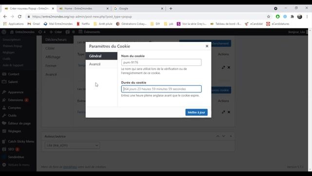 Création De Pop Up WordPress Salient смотреть онлайн