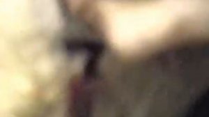 Взятие крови у свиней из глаза