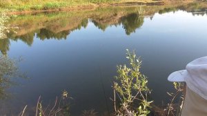 Карасики на оооочень легкую удочку.))