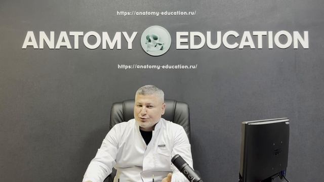 Новости из мира анатомии. Жевательная мышца смотреть онлайн