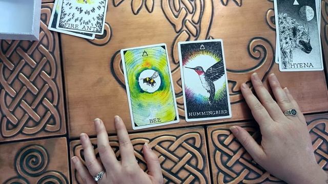 The Wild Unknown Animal Spirit - Deck Deep Dive - Day 1 смотреть онлайн