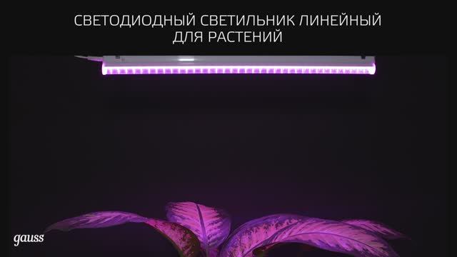 Видео обзор|Светильники Gauss Fito для растений|Gauss смотреть онлайн