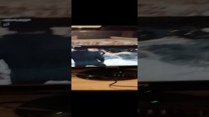 чит-коды в GTA V часть первая на ПК
