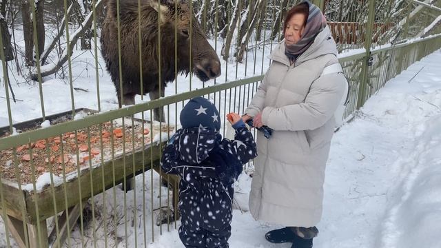 Веснушка смотреть онлайн