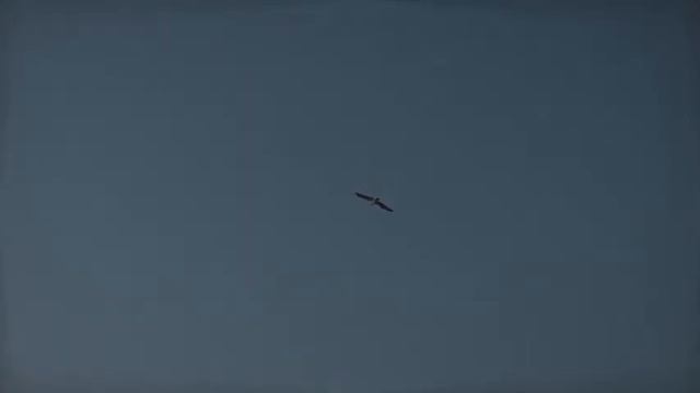 Медитация на Работе "Let It Go" смотреть онлайн