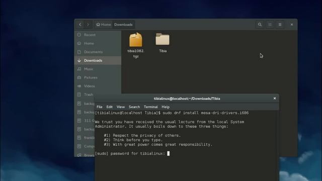 (SOLVED) Erro ao executar Tibia. libc.so.6 смотреть онлайн