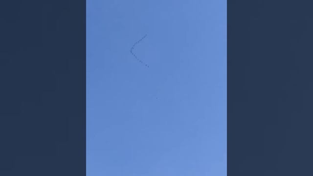 Гуси летят на север 06.05.2020 Томпонский рн с.Кэскил смотреть онлайн