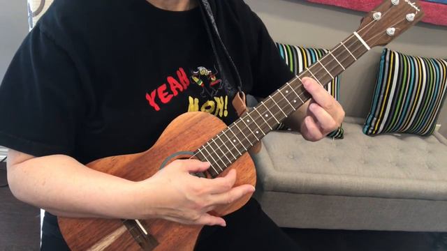 BECOME A THOUSAND WINDS -UKULELE SOLO смотреть онлайн