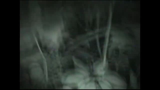 Парень завпечетлил последние минуты жизни на камеру Ужас