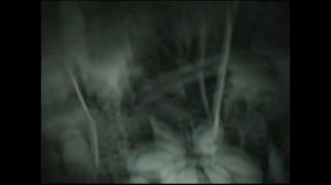 Парень завпечетлил последние минуты жизни на камеру Ужас