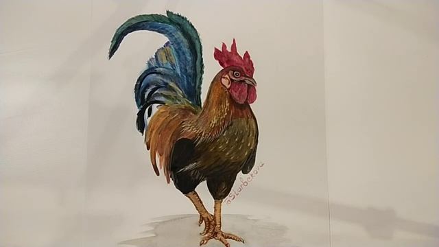 Петух 2023 смотреть онлайн