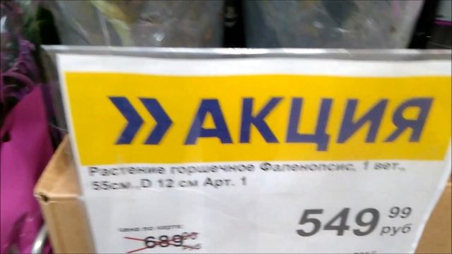 Деревенская  распаковка  ... что по-ненашему Rustic Unpacking Of A Parcel