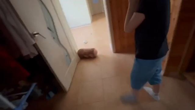 Мудрый Дуб 2,часть 3