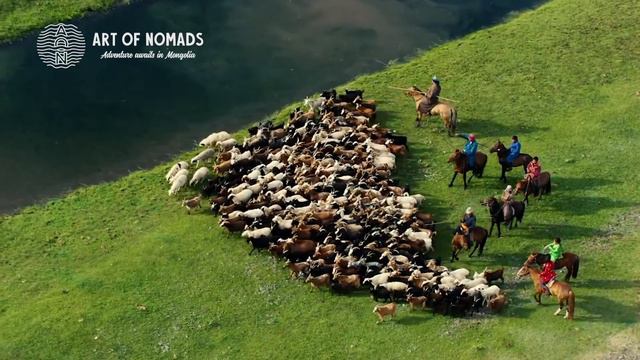 5 FACTS MOST PEOPLE DON'T KNOW ABOUT MONGOLIA | ART OF NOMADS смотреть онлайн