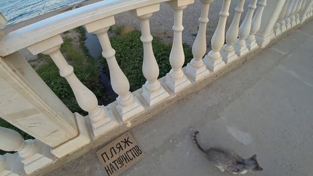 КОКТЕБЕЛЬ 2019! ТУТ ОТДЫХАЮТ ПО ВЗРОСЛОМУ - ЗАПУСКАЕМ КВАДРОКОПТЕР с КАТАМАРАНА НА ПЛЯЖ смотреть онлайн
