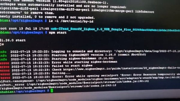 Проблема при запуске Zigbee2MQTT.